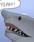 23257